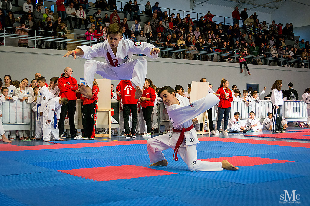 COPA SEUL, 2017  (19).JPG